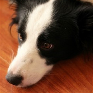 男人舔女人下面视频
